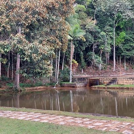 Cabanas Eco Das Montanhas Domingos Martins Bagian luar foto
