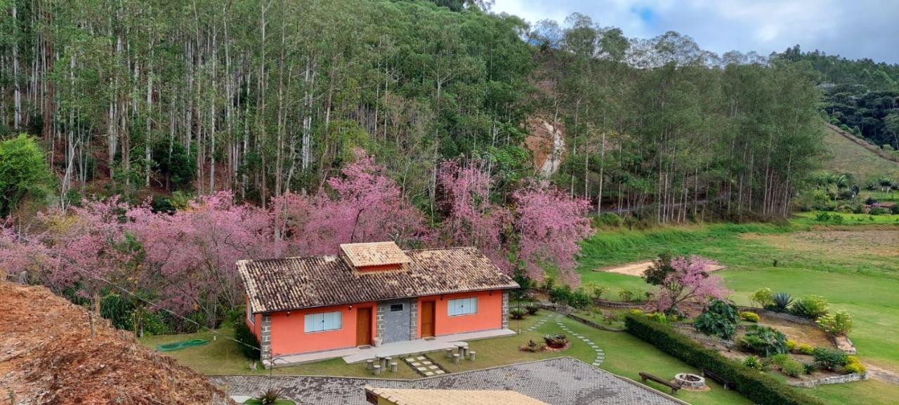 Cabanas Eco Das Montanhas Domingos Martins Bagian luar foto
